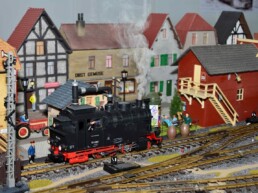 Faszination Modellbahn Internationale Messe für Modelleisenbahnen, Specials & Zubehör MA2025 Spur 2 LGB Freunde Rhein Sieg 02 uai