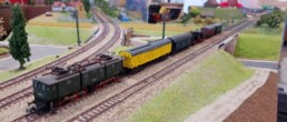 Faszination Modellbahn International Fair for Model Railways, Specials & Accessories MA2025 Spur N N Club International 02 uai