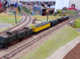 Faszination Modellbahn Internationale Messe für Modelleisenbahnen, Specials & Zubehör MA2025 Spur N N Club International 02 uai